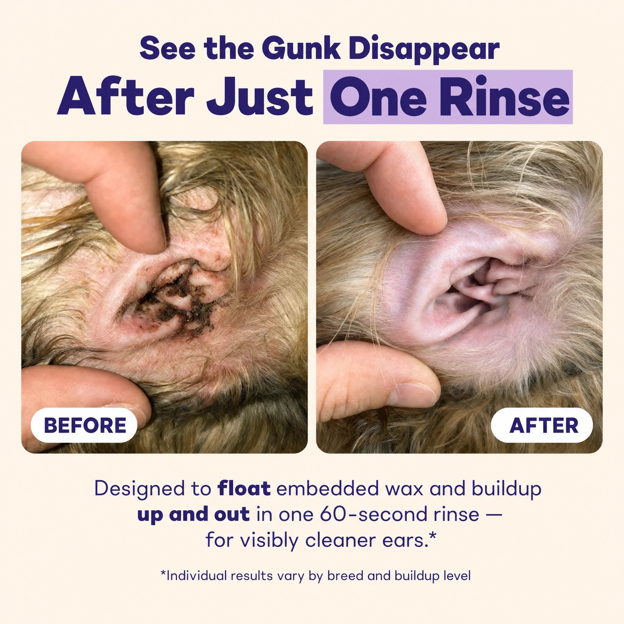 See the gunk disappear after just one rinse — before and after