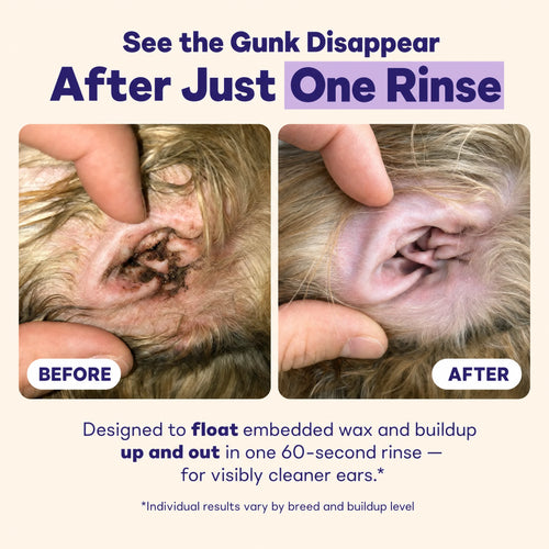 See the gunk disappear after just one rinse — before and after