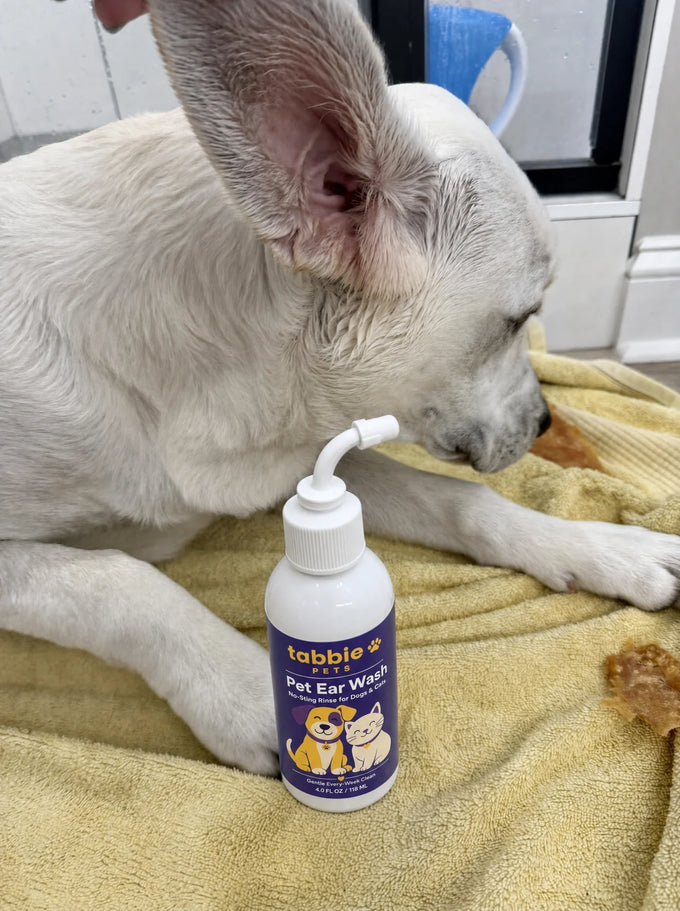 Cotton pad after the first rinse, happy dog behind