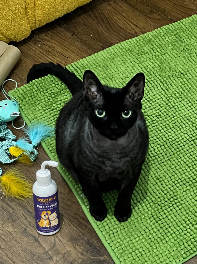 Black cat on a green mat with the Tabbie bottle beside it